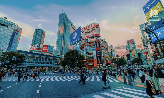 在日本開展網絡文化經營公司的機遇與方向