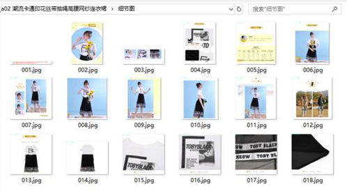 高效管理有貨商品圖片 分類下載與計(jì)算機(jī)軟硬件開發(fā)策略